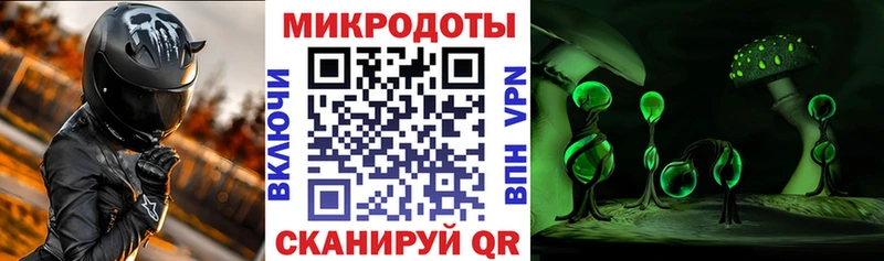 мега сайт  Медынь  Псилоцибиновые грибы Psilocybe 